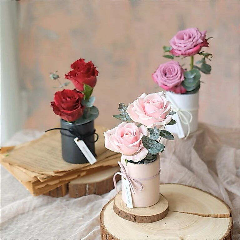 Hướng dẫn chọn hộp
