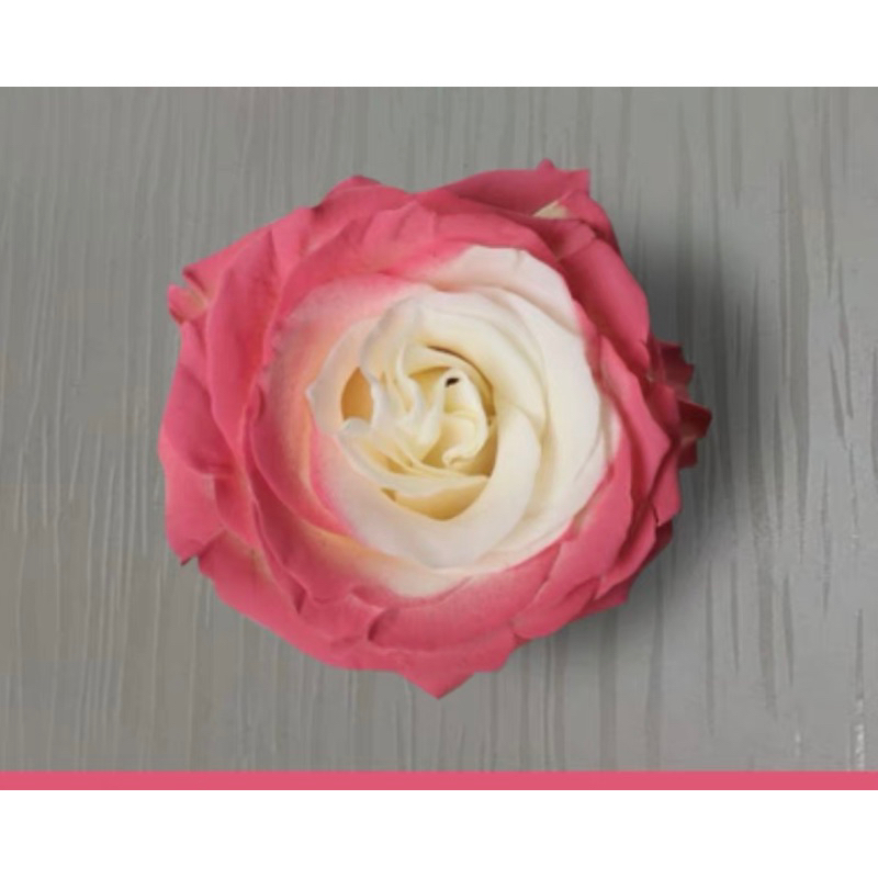 Bình sơn xịt tạo màu cho hoa tươi