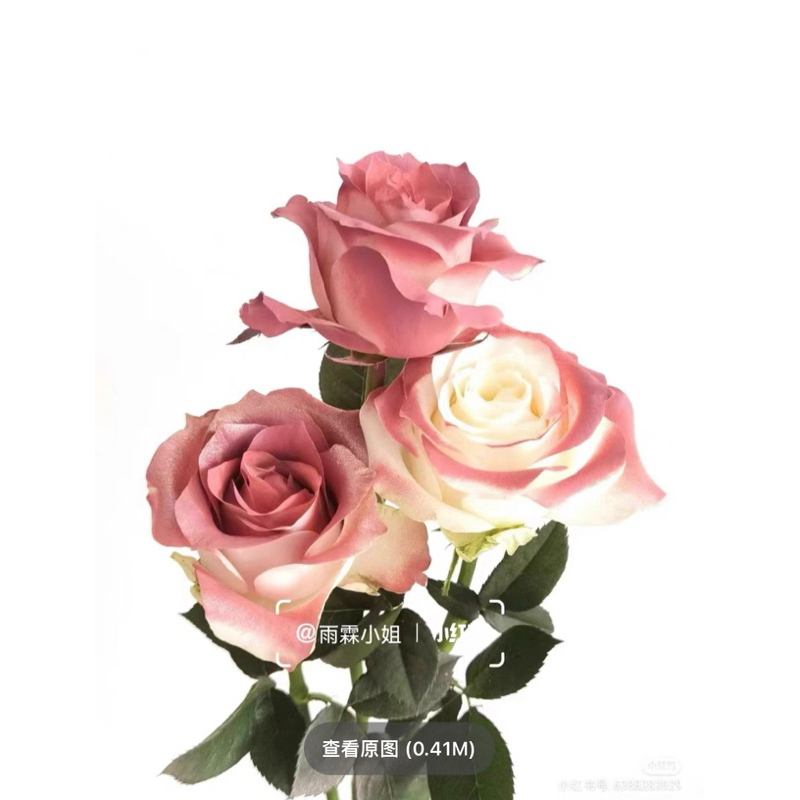 Bình sơn xịt tạo màu cho hoa tươi